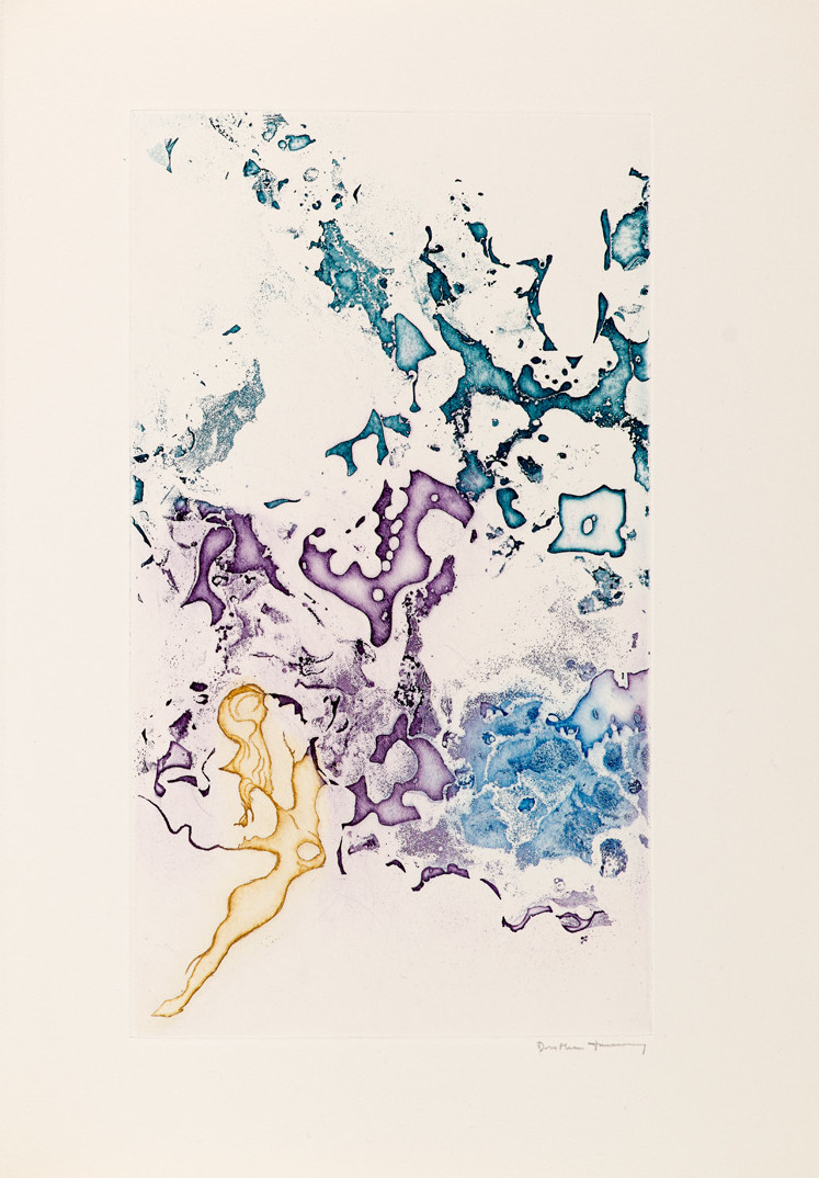 Image:
                        Lot 486