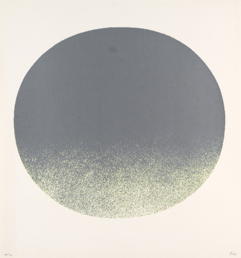 Image:
                        Lot 6