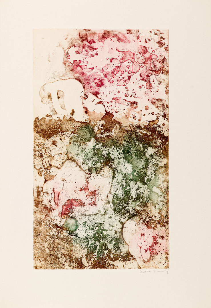 Image:
                        Lot 484