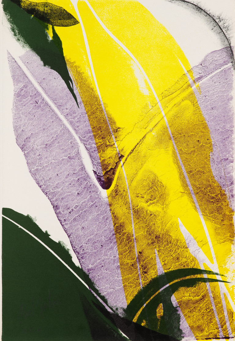 Bild:
                        Los 493