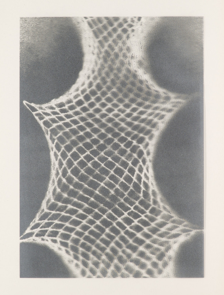 Image:
                        Lot 9