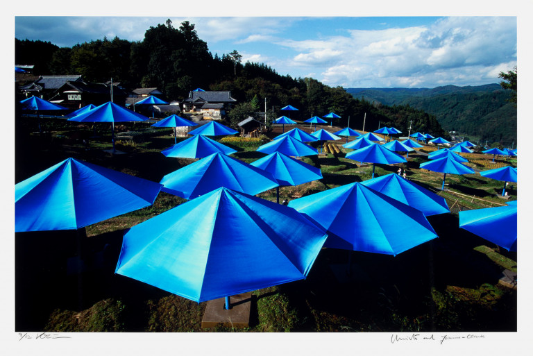 Bild:
                        Los 241