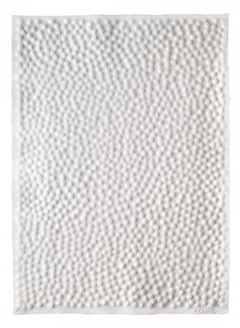 Image:
                        Lot 24