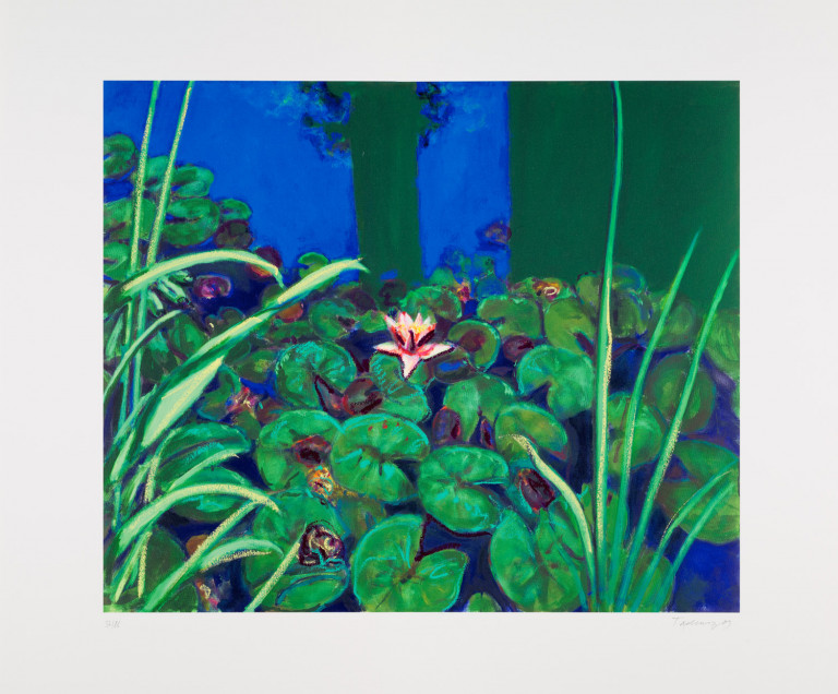 Bild:
                        Los 619