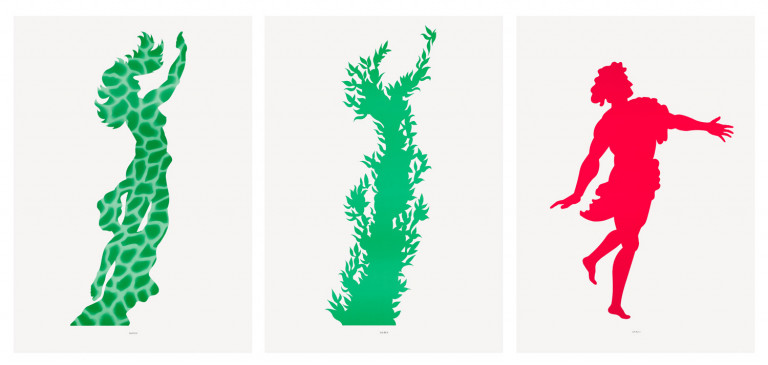 Bild:
                        Los 517