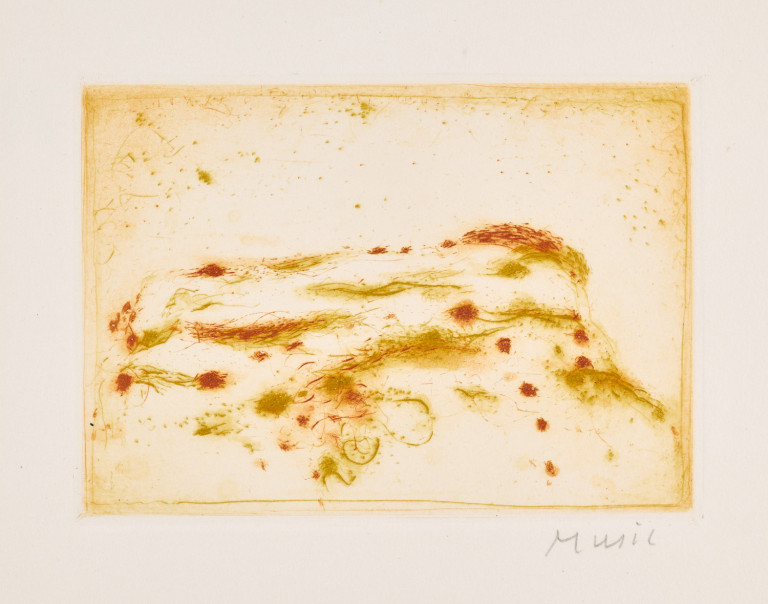 Image:
                        Lot 1185