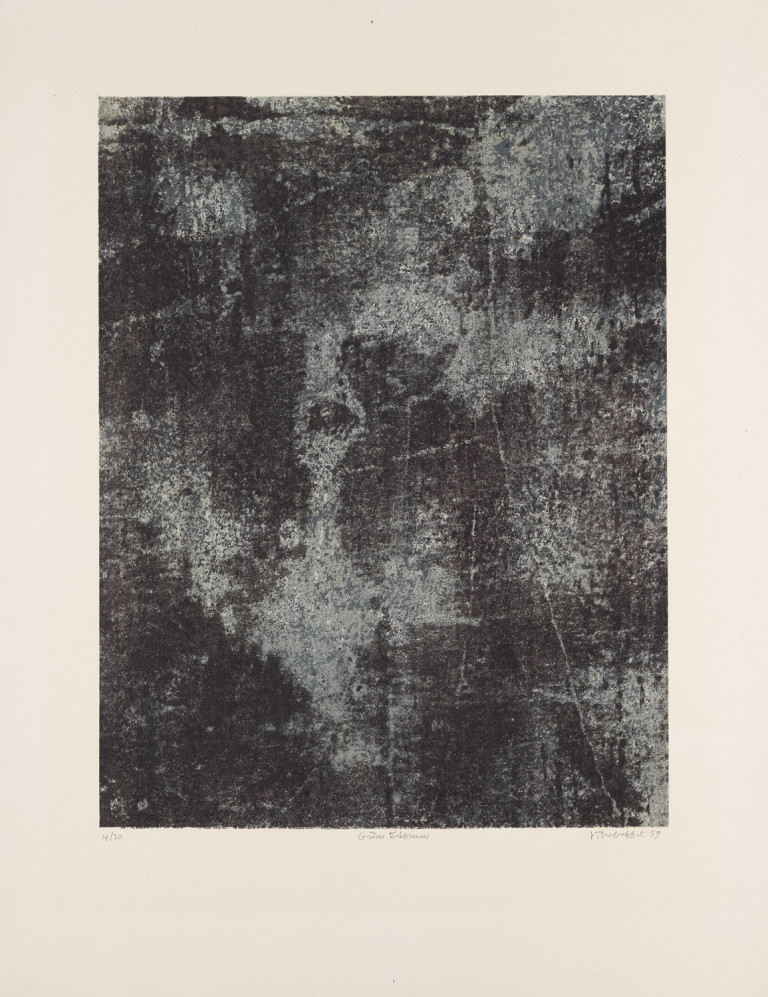 Image:
                        Lot 238