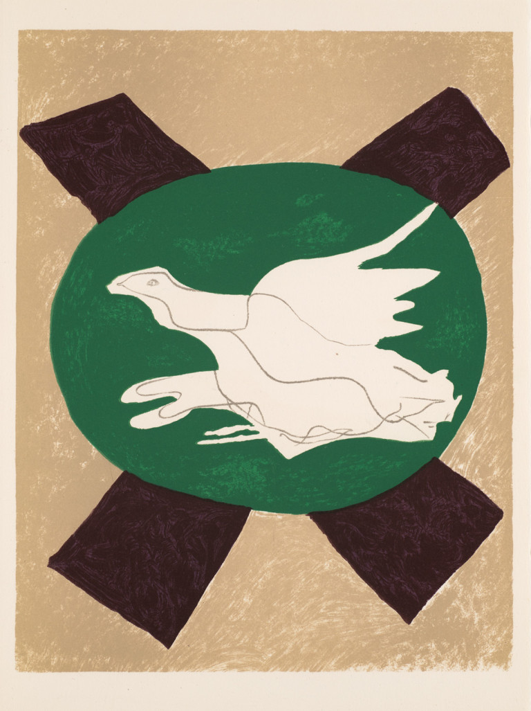 Image:
                        Lot 849