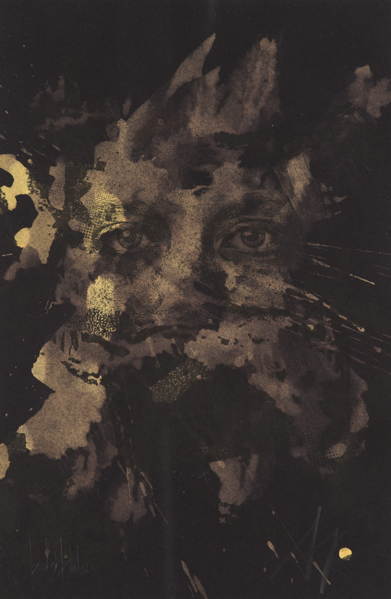 Bild:
                        Los 390