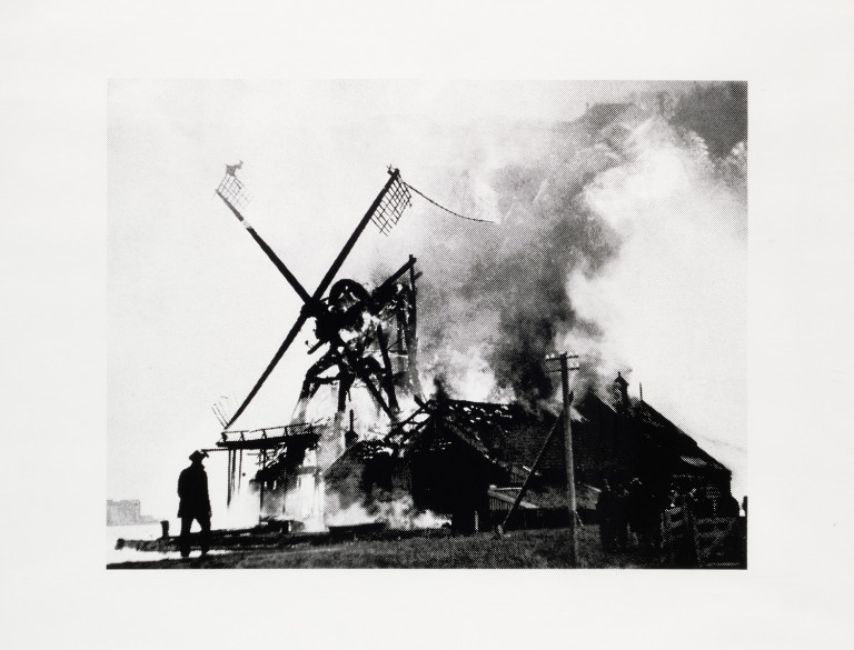 Image:
                        Lot 1264