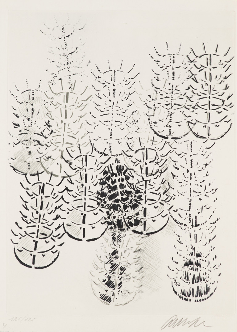 Bild:
                        Los 1078