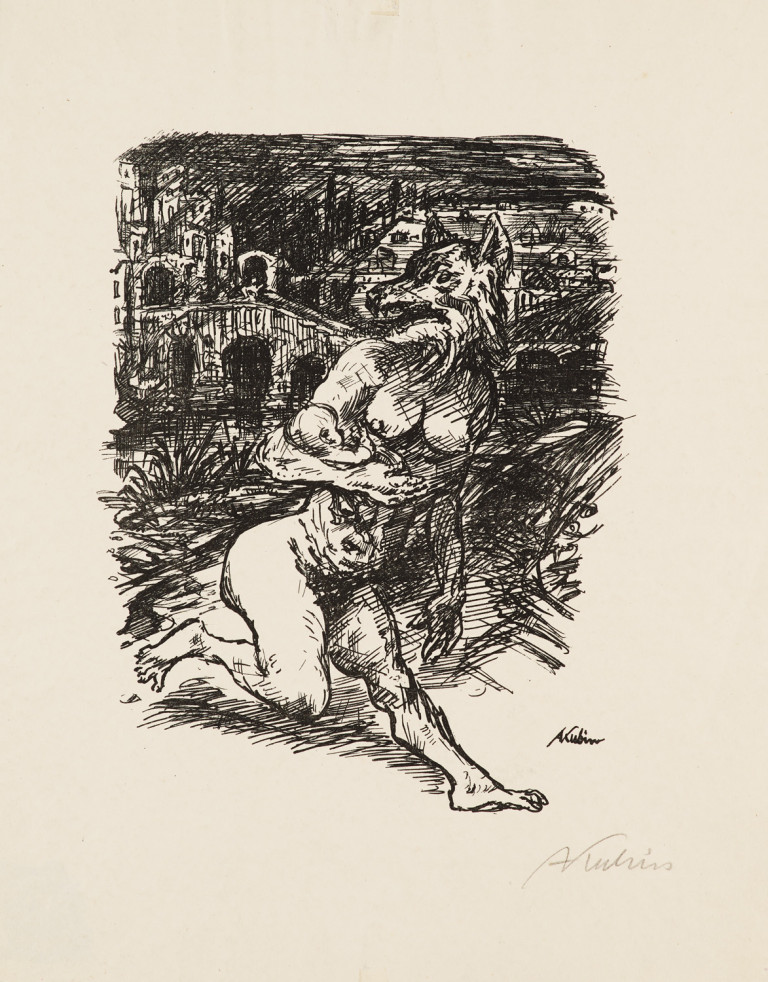 Image:
                        Lot 971