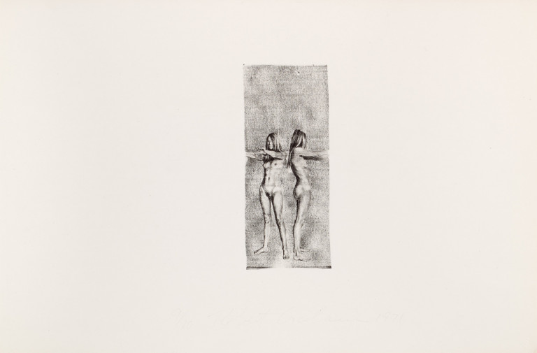 Image:
                        Lot 475