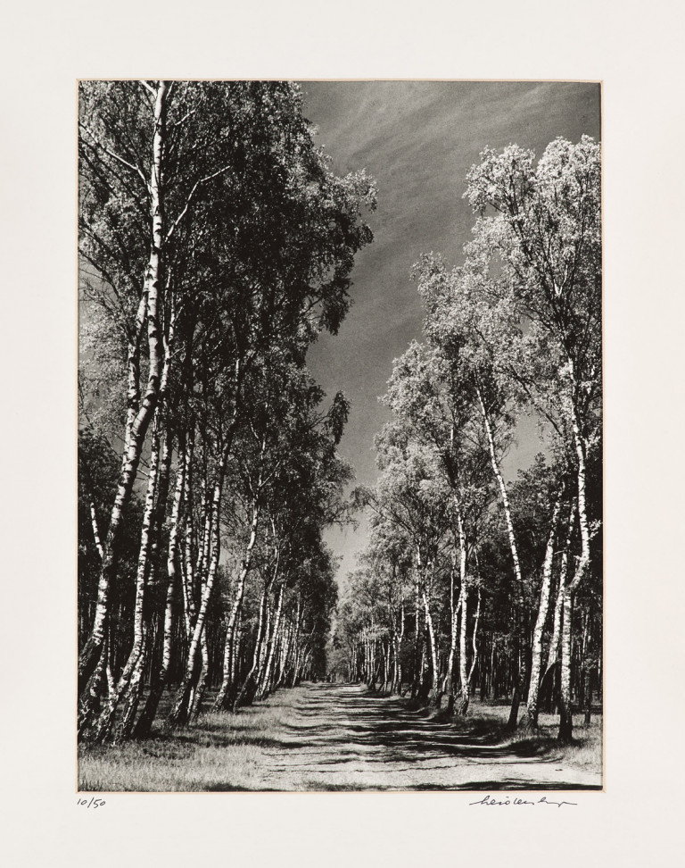 Bild:
                        Los 1327