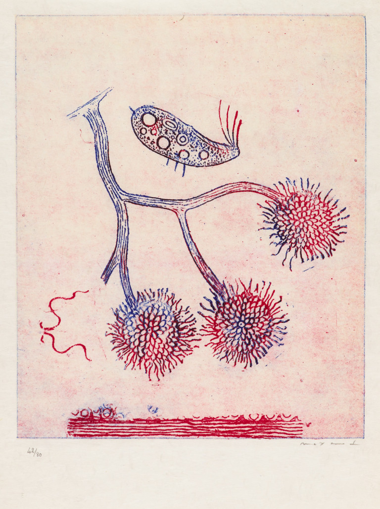 Image:
                        Lot 252