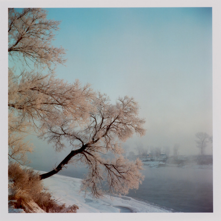 Bild:
                        Los 1347