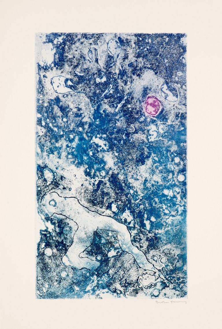 Image:
                        Lot 485