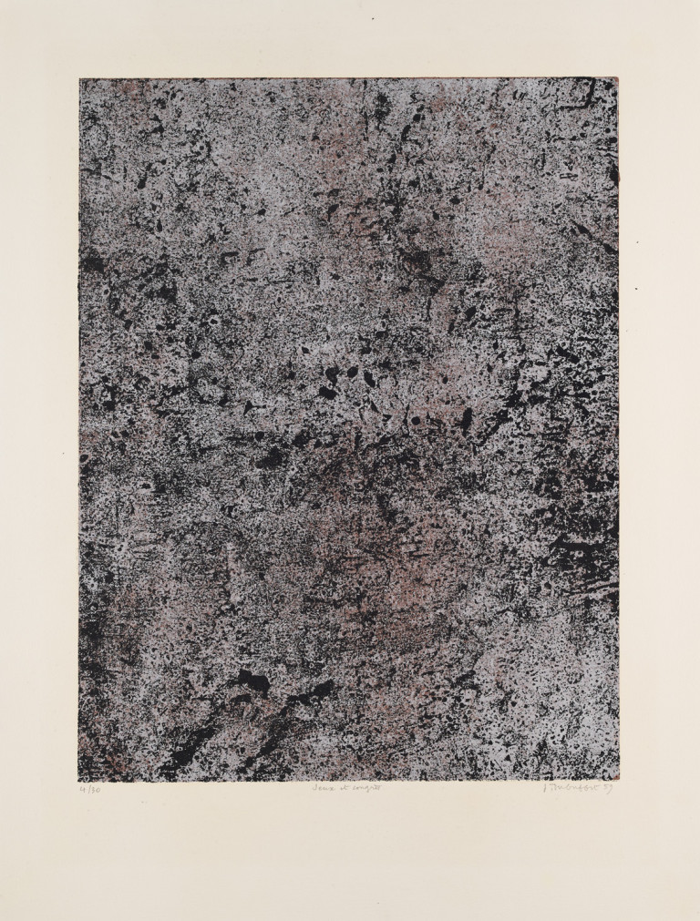 Image:
                        Lot 237