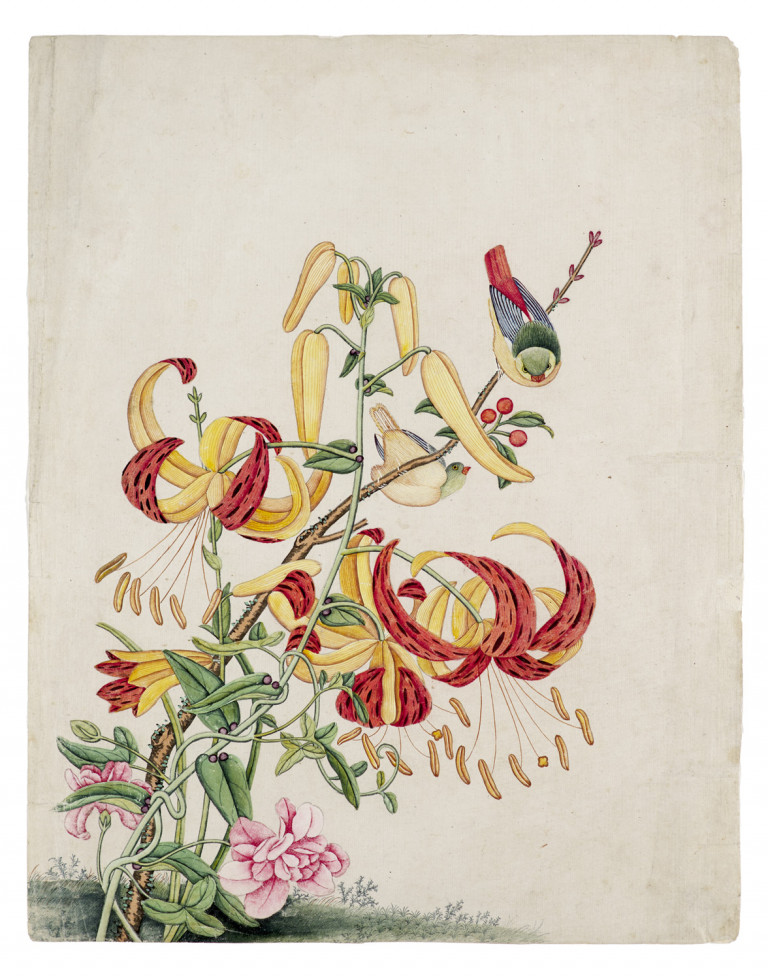 Image:
                        Lot 1158