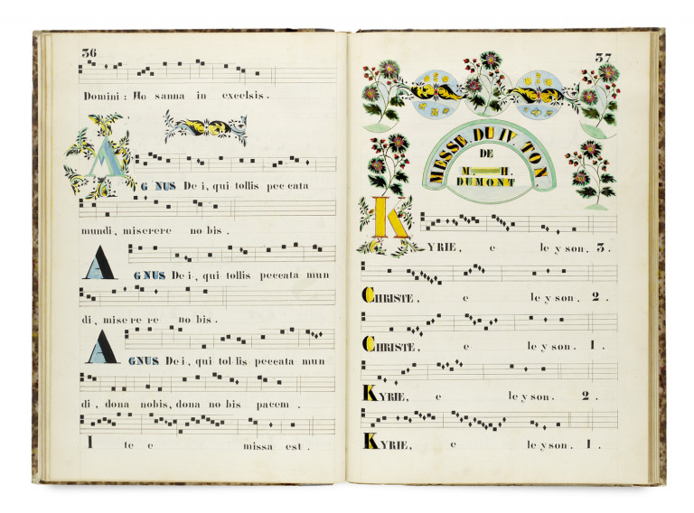 Image:
                        Lot 169