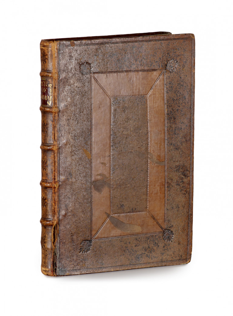 Image:
                        Lot 1012