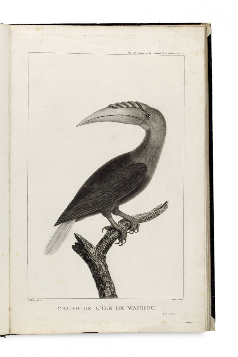 Image:
                        Lot 1202