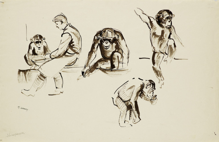 Bild:
                        Los 1062