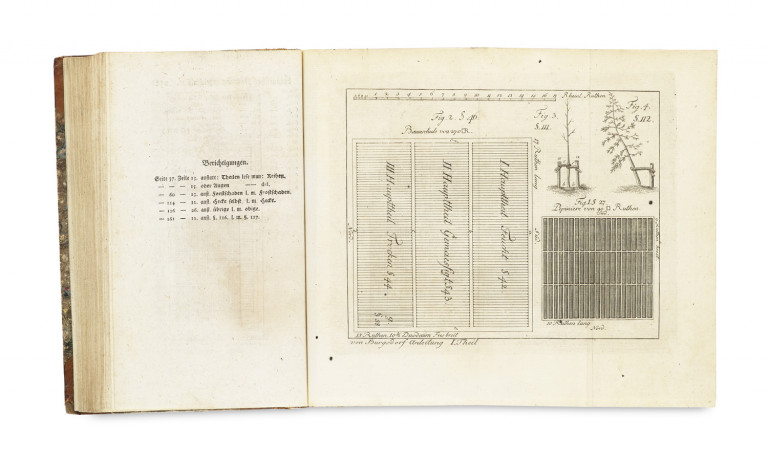 Image:
                        Lot 944