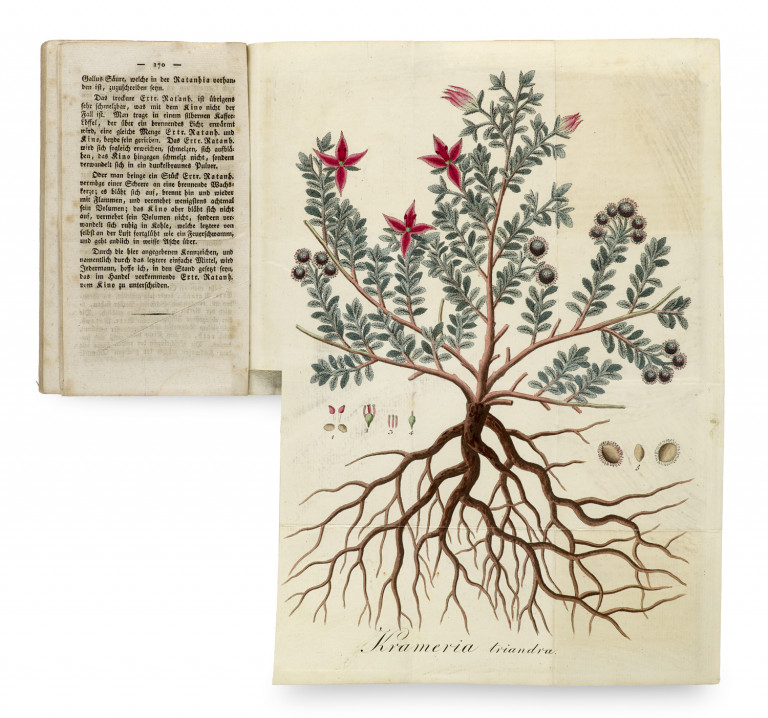 Bild:
                        Los 932