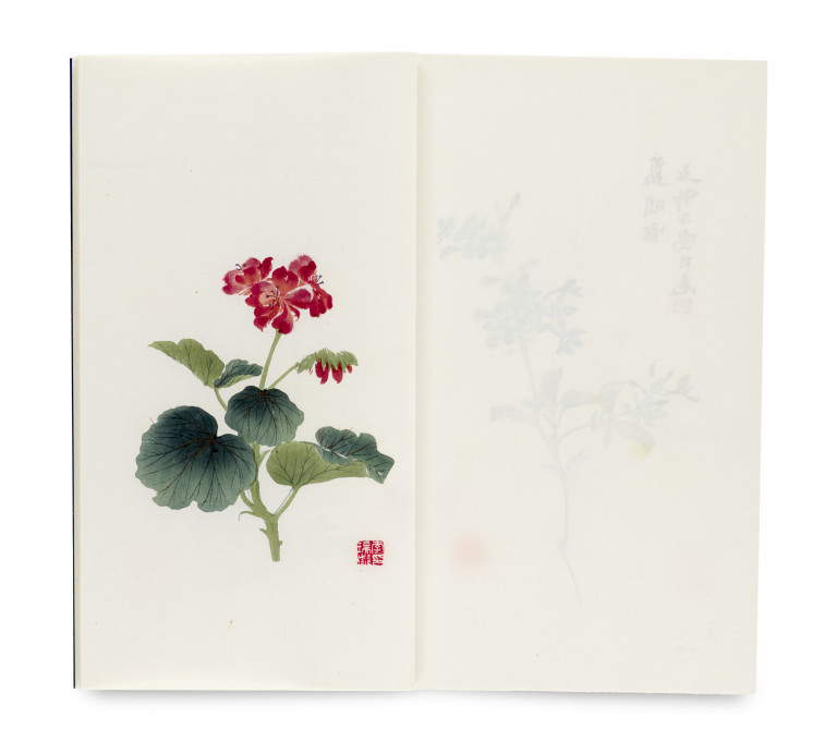 Bild:
                        Los 1157