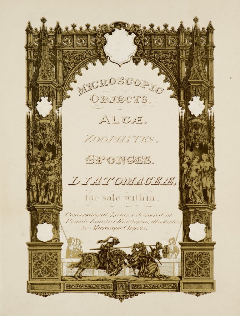 Image:
                        Lot 1039