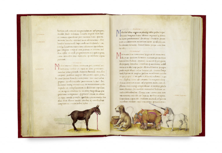 Bild:
                        Los 259