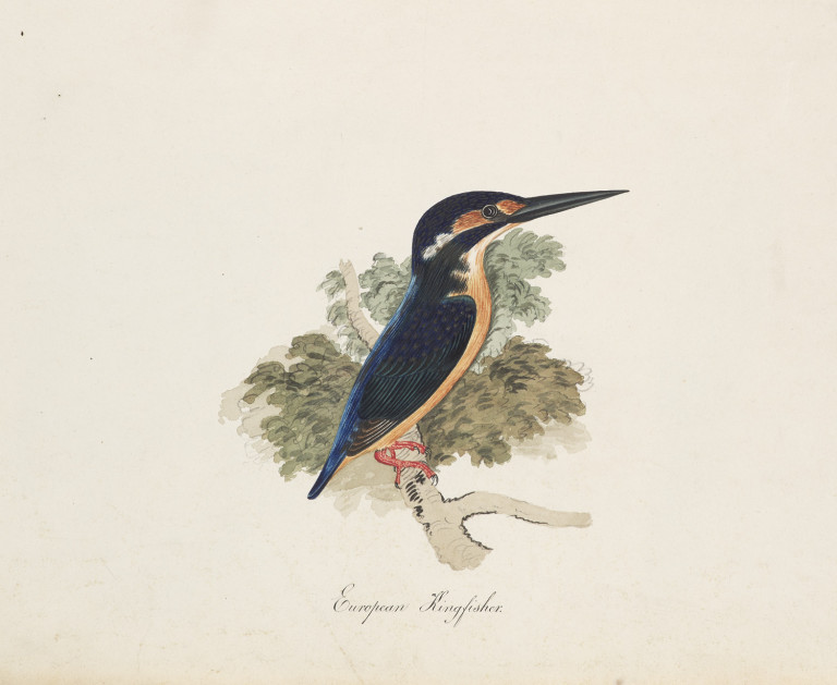 Bild:
                        Los 1056