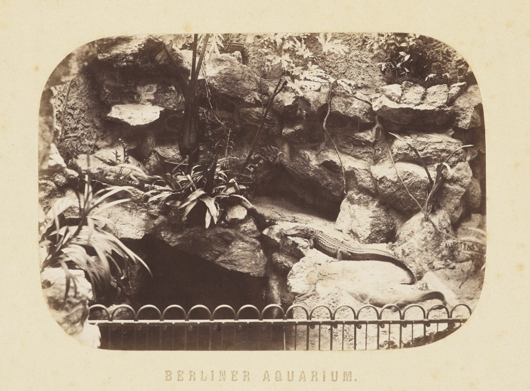 Bild:
                        Los 968