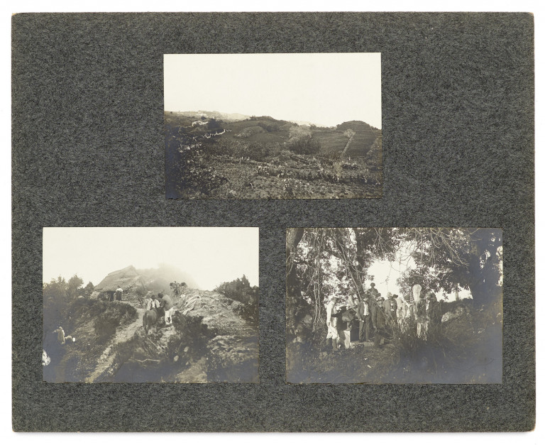 Image:
                        Lot 1396