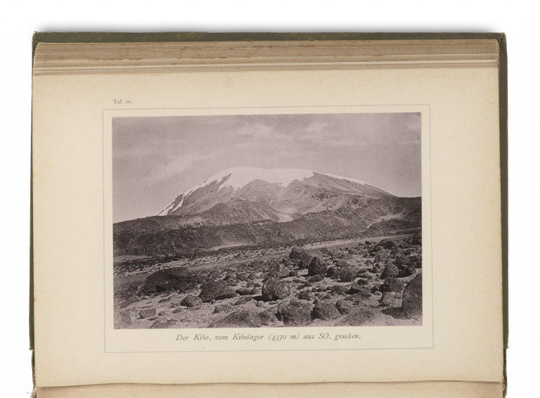 Bild:
                        Los 1119