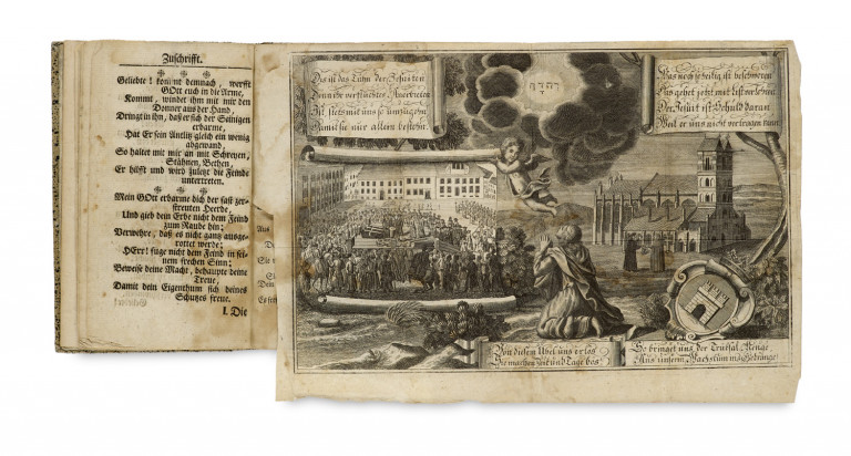 Bild:
                        Los 319