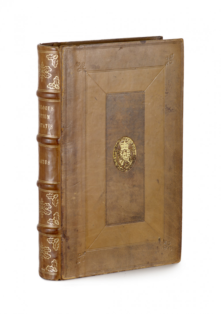 Bild:
                        Los 41