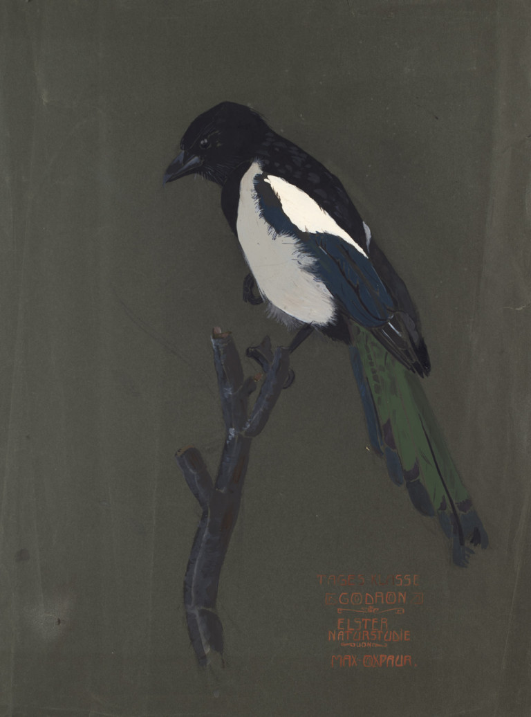 Bild:
                        Los 1055