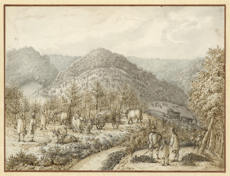 Bild:
                        Los 1306