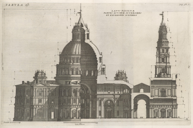 Image:
                        Lot 877