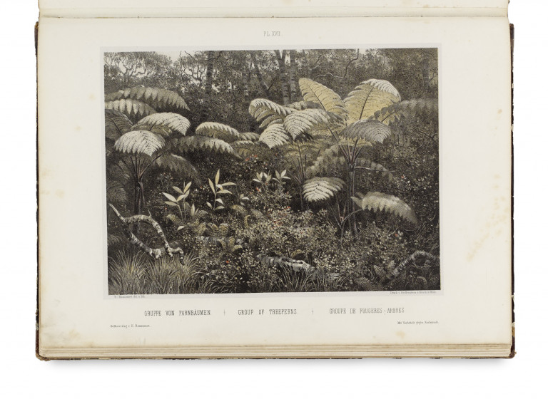 Bild:
                        Los 1140