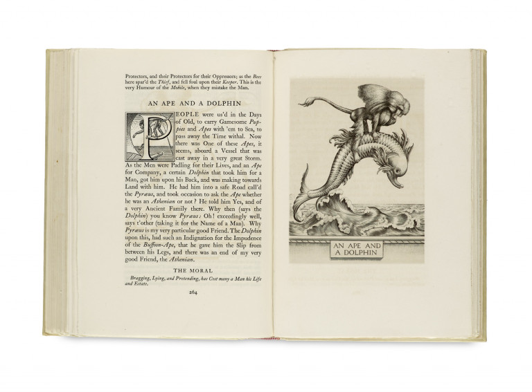 Bild:
                        Los 592