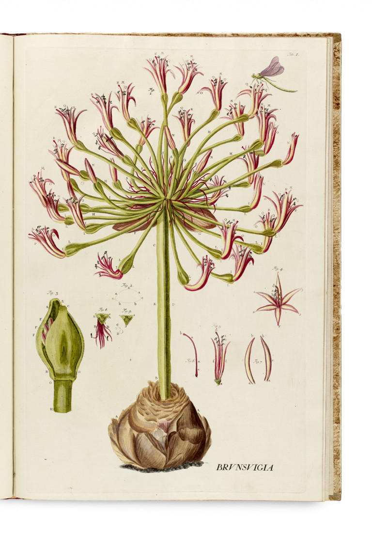 Bild:
                        Los 930