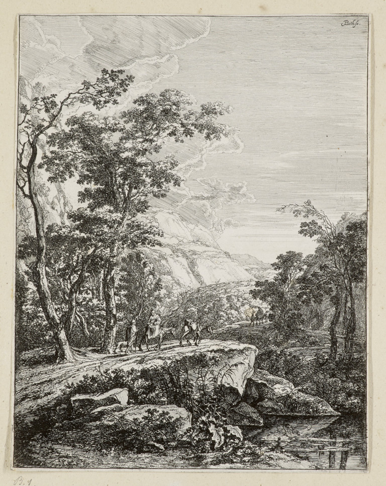 Image:
                        Lot 47