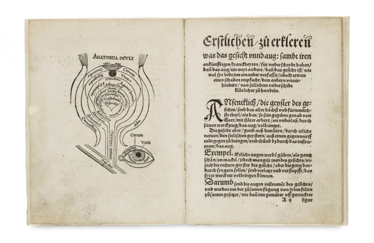 Bild:
                        Los 28