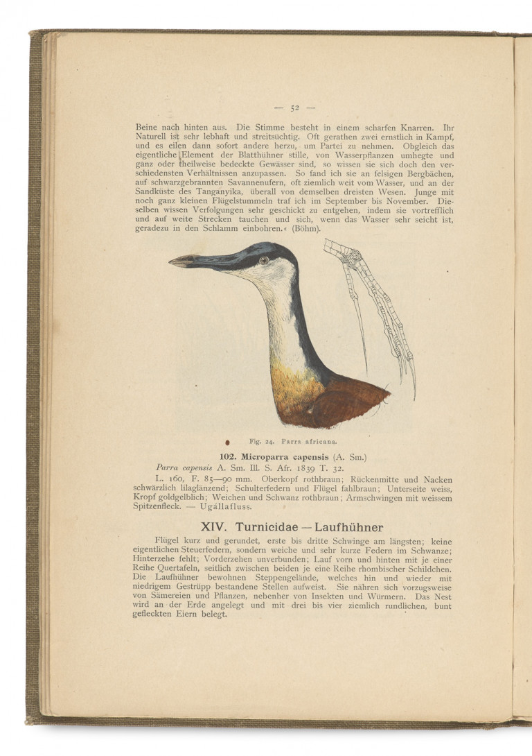 Bild:
                        Los 1051