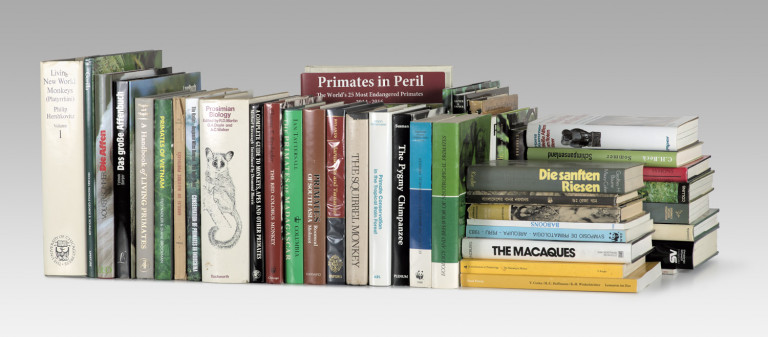 Image:
                        Lot 1014