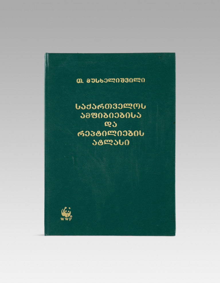 Image: 1