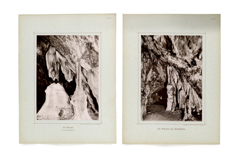 Image:
                        Lot 946